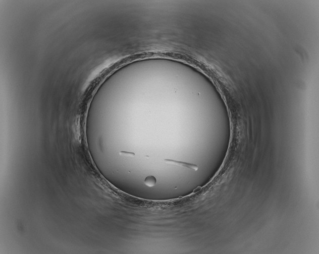 X0000112971262200909101646