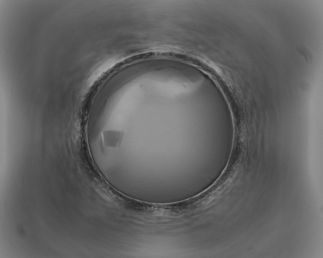 X0000112971263200909101646