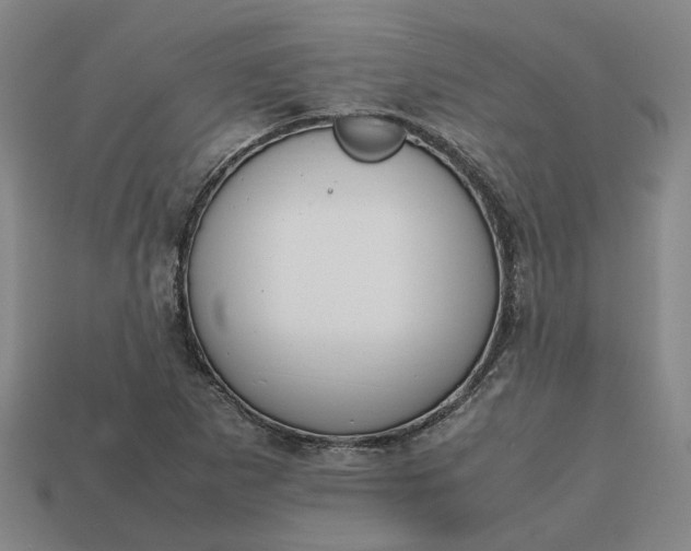 X0000112971265200909101646