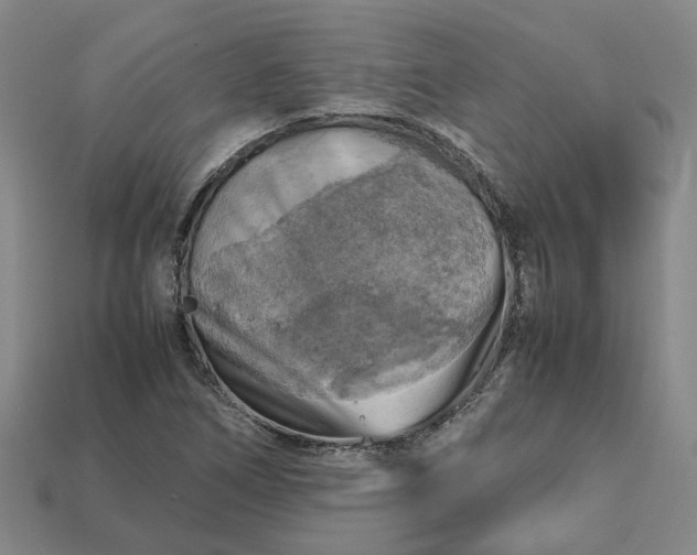 X0000112971266200909101646