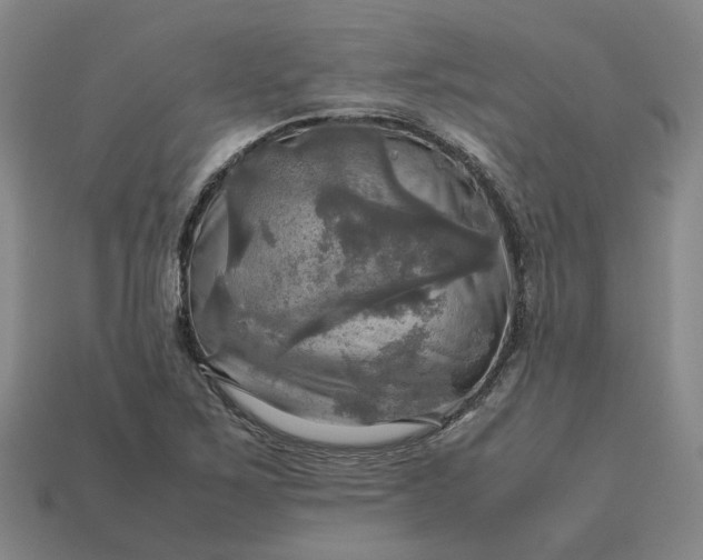 X0000112971267200909101646