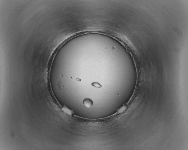 X0000112971268200909101646