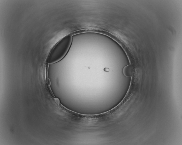 X0000112971269200909101646