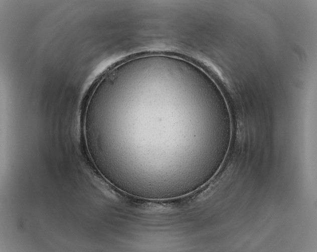 X0000112971270200909101646