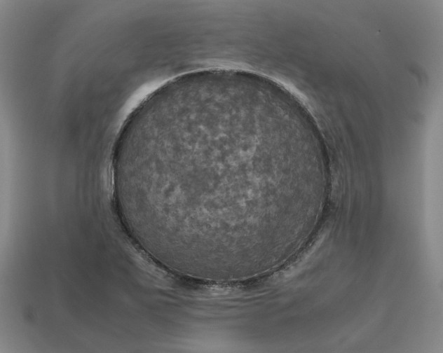 X0000112971271200909101646