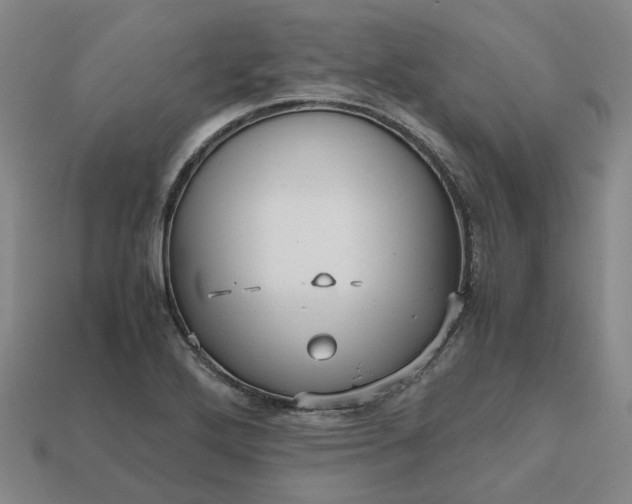 X0000112971272200909101646