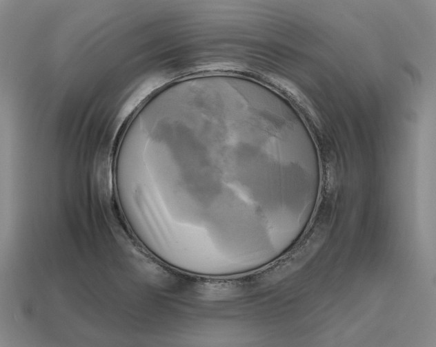 X0000112971274200909101645