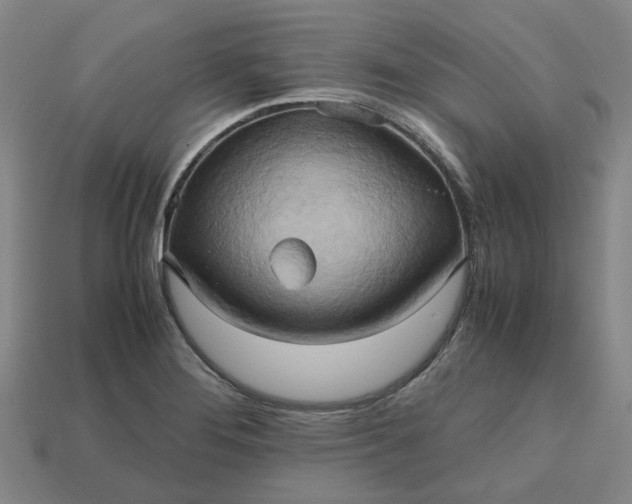 X0000112971276200909101645