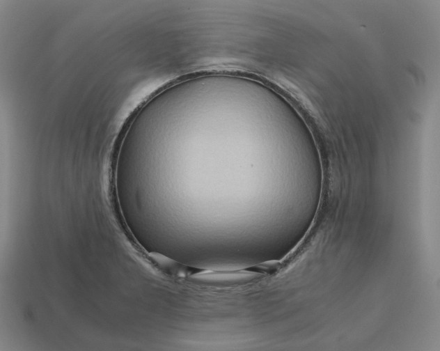 X0000112971277200909101645