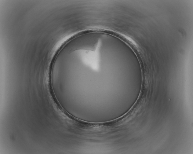 X0000112971279200909101645