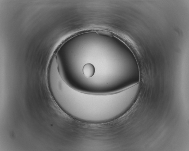 X0000112971280200909101645