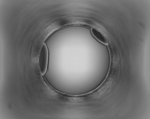 X0000112971281200909101645