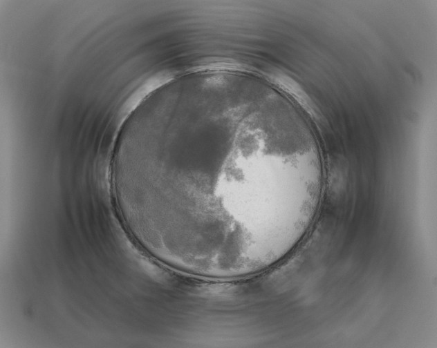 X0000112971282200909101645