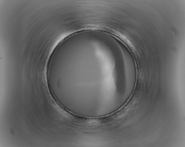 X0000112971283200909101645