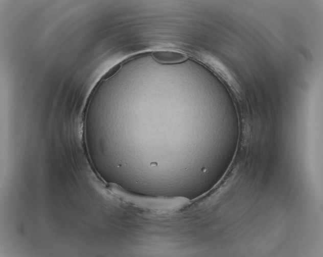 X0000112971284200909101645