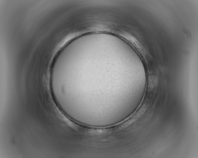 X0000112971286200909101645