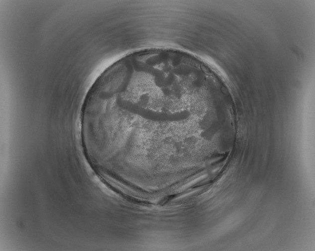 X0000112971287200909101645