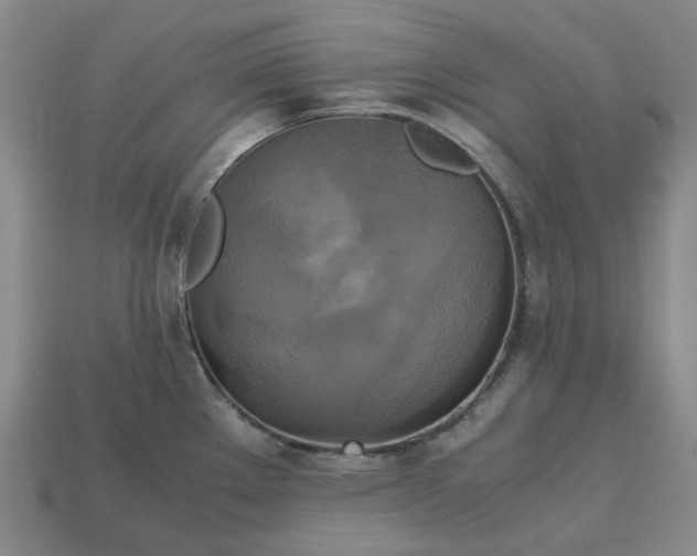 X0000112971289200909101645