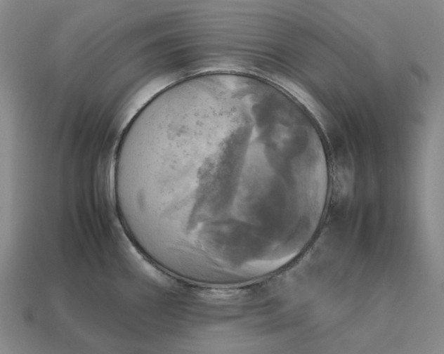 X0000112971290200909101645