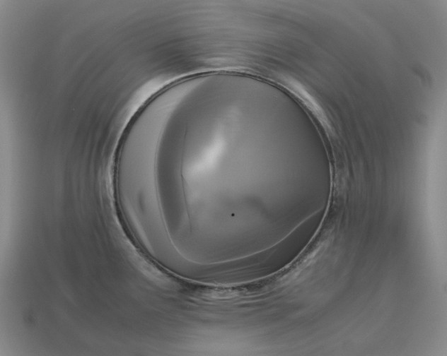 X0000112971291200909101645