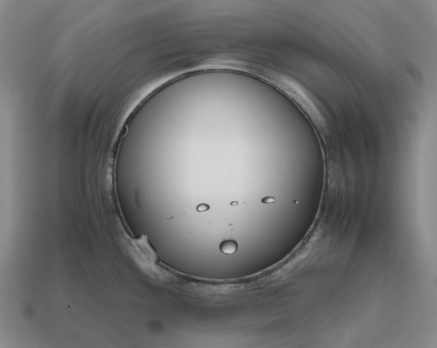 X0000112971292200909101645