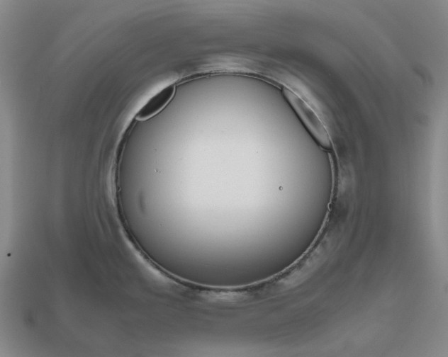 X0000112971293200909101645