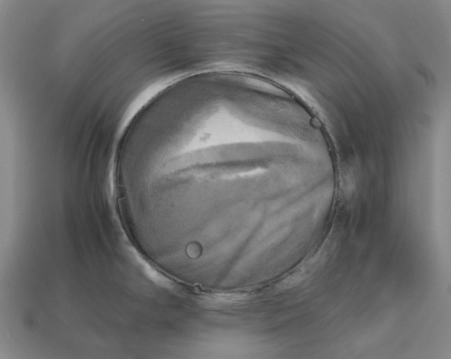 X0000112971294200909101645