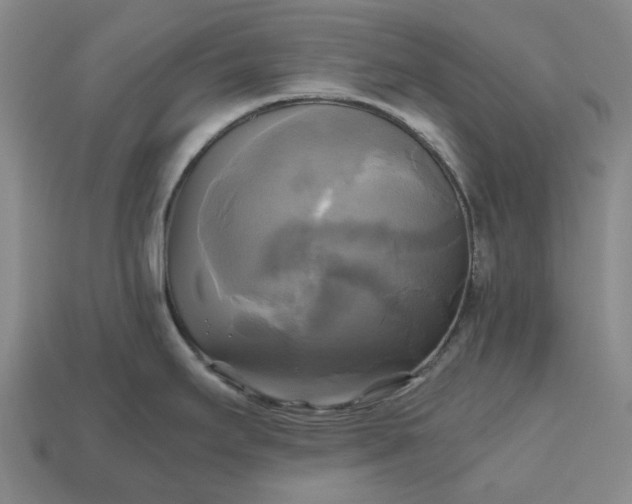 X0000112971295200909101645