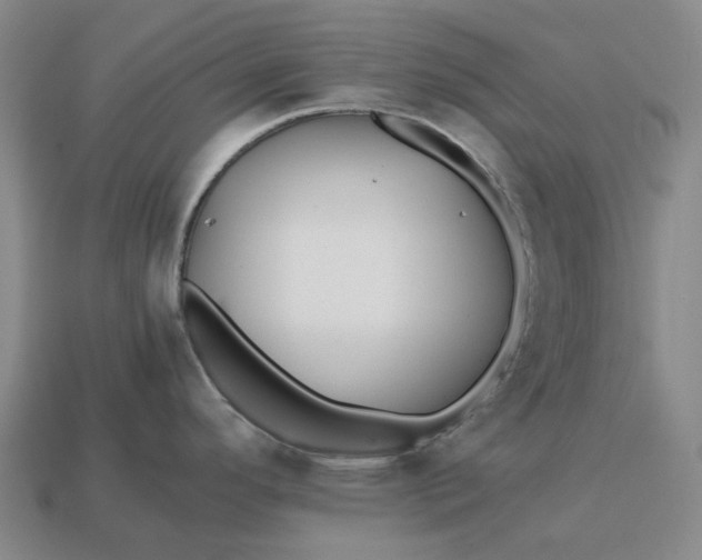 X0000112971296200909101645