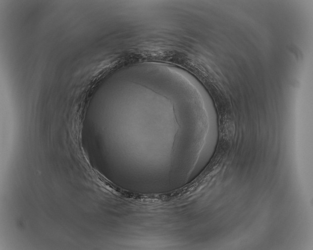 X0000112971297200909101645