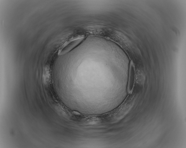 X0000112971298200909101645