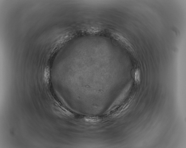 X0000112971299200909101645