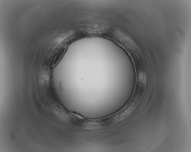 X0000112971300200909101645