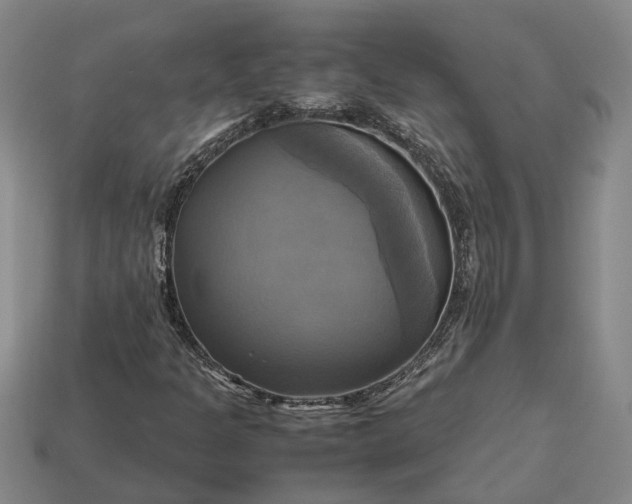 X0000112971301200909101645