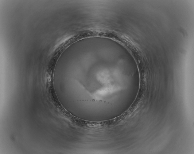 X0000112971302200909101645