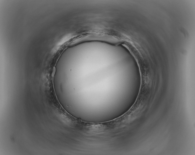 X0000112971304200909101645