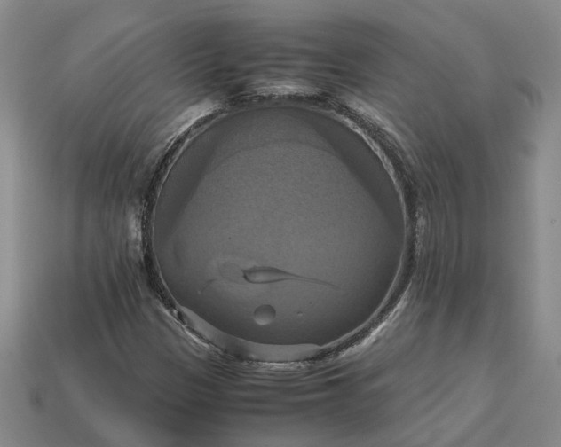 X0000112971305200909101645