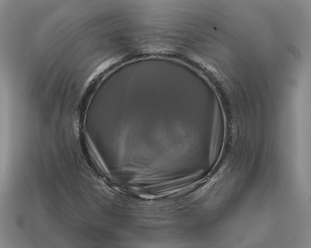 X0000112971306200909101645