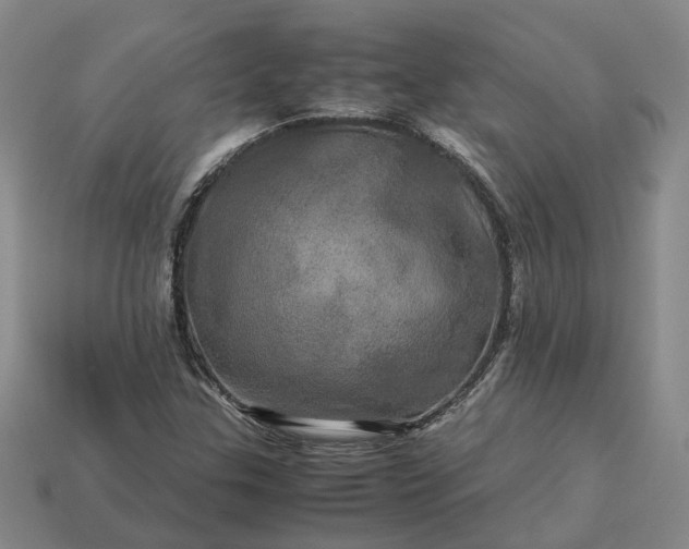 X0000112971307200909101645