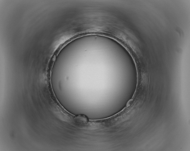 X0000112971308200909101645