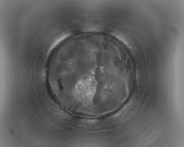 X0000112971309200909101645