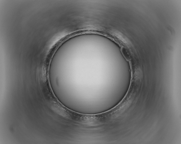 X0000112971310200909101645