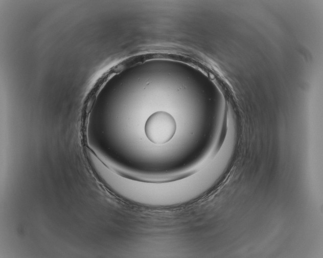 X0000112971312200909101645