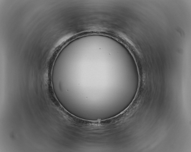 X0000112971315200909101645