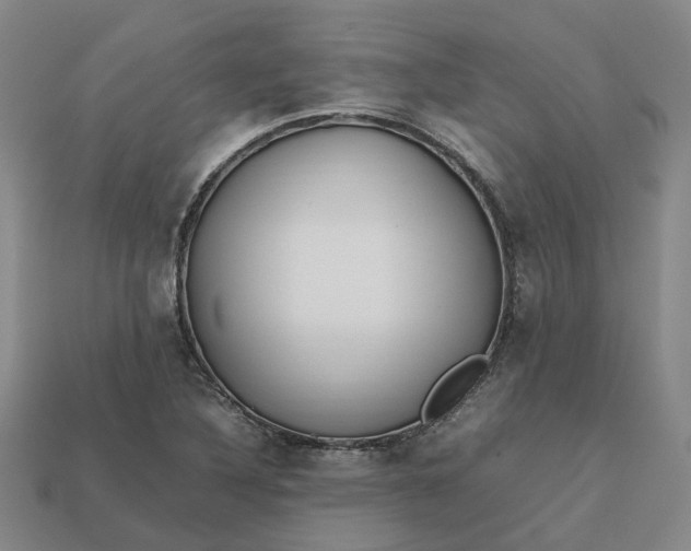 X0000112971316200909101645