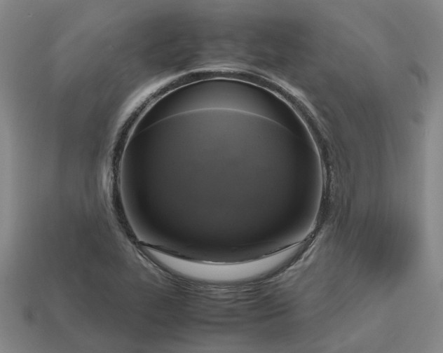 X0000112971319200909101645