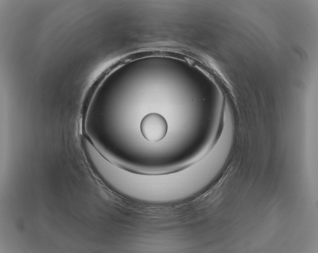 X0000112971320200909101645