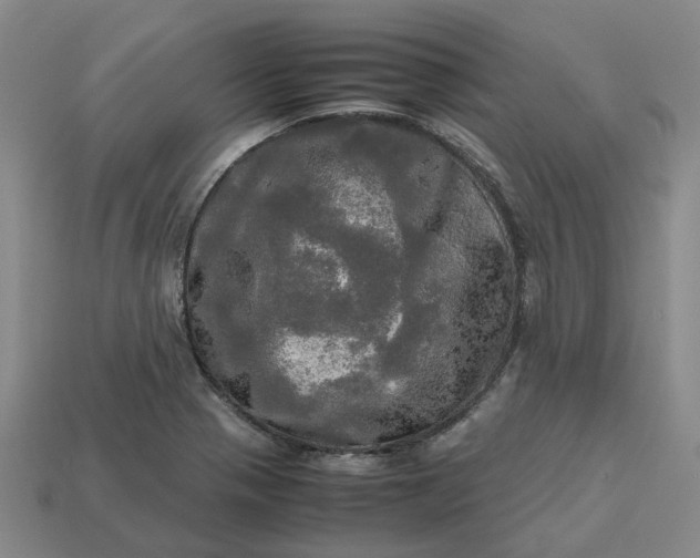 X0000112971321200909101645