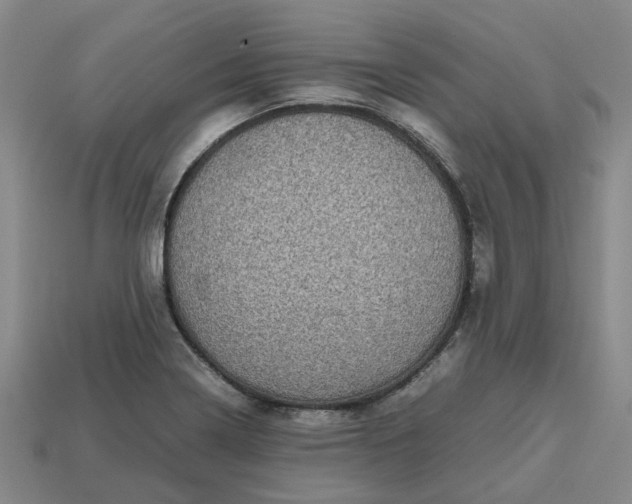 X0000112971322200909101645