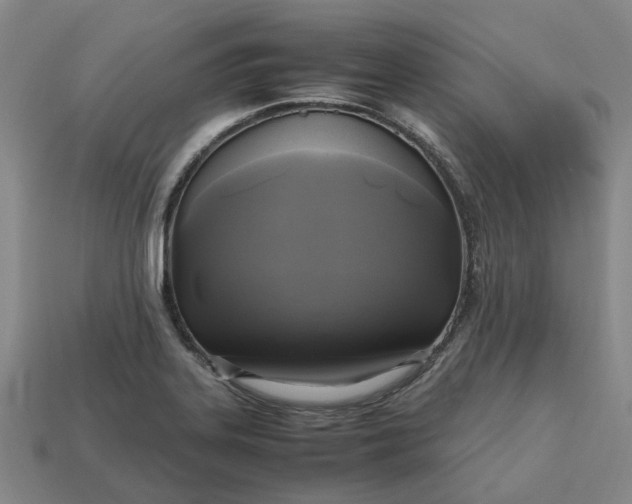 X0000112971323200909101645